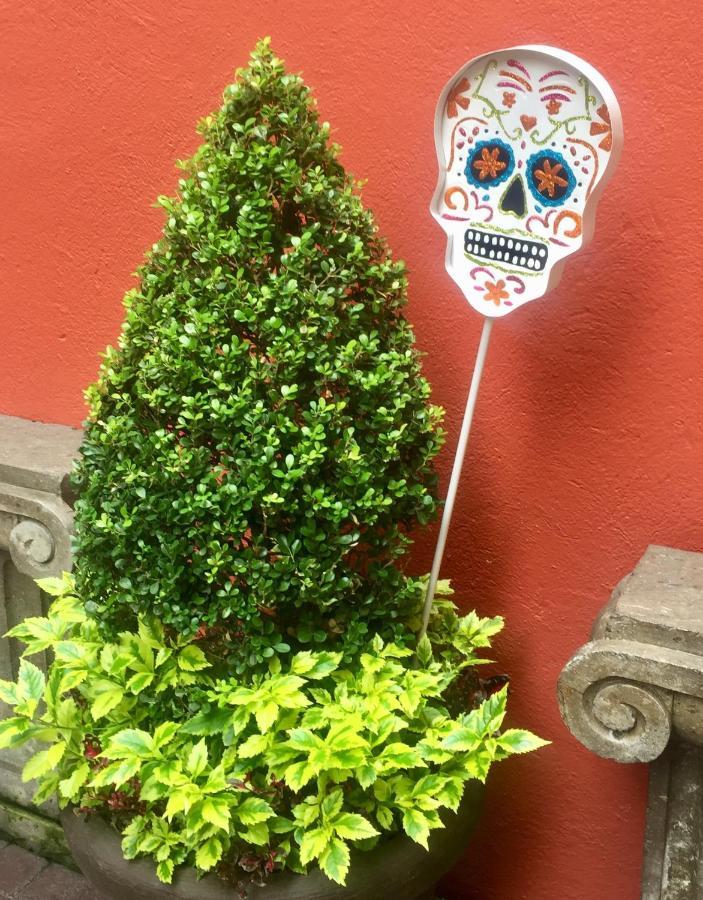 Residence Las Trojes Cdmx Μεξικό Εξωτερικό φωτογραφία